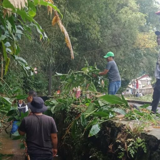 Kerjabakti rtrw desa cipayung girang